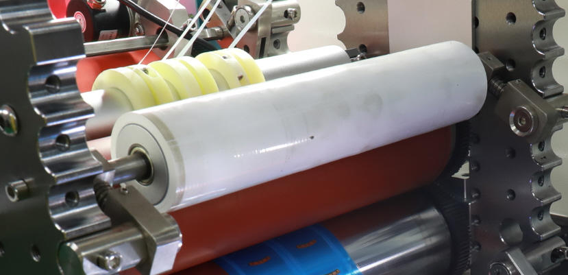 Cleaning Roller